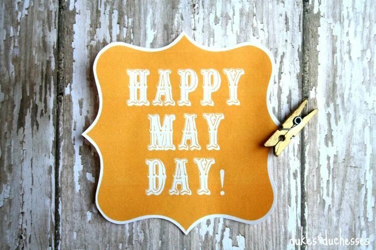 Happy may day. Happy May. Happy first May. Картинки Happy 1 May. First of May картинки.