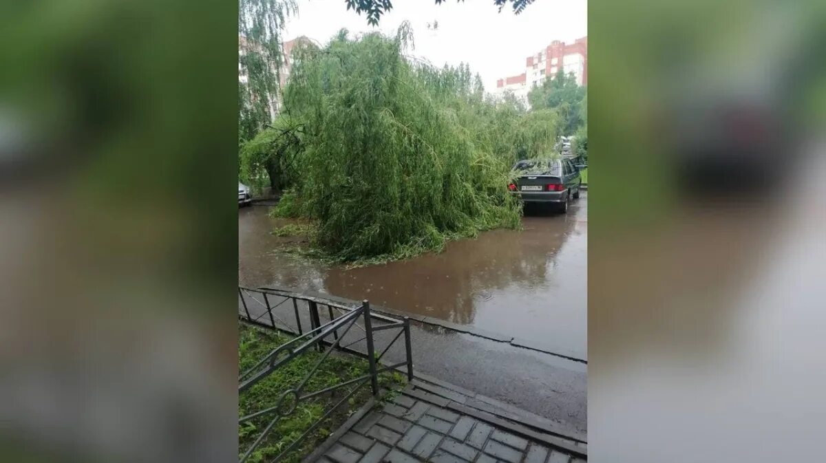 Через сколько после дождя. Воронеж дождь. Ливень в Воронеже. Воронеж после дождя. Ливень в Воронеже сегодня.