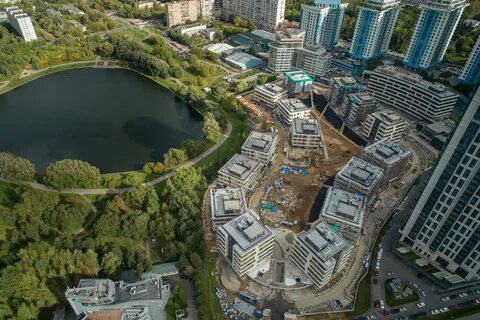 Павшино снегири