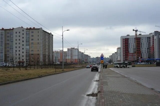 Московский районный калининград