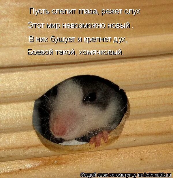 Мы ребята удалые лазим. Загадки мы ребята удалые лазим в щели. Неприличные загадки. Смешные загадки с пошлостью. Загадка мы ребята удалые ищем щели половые.