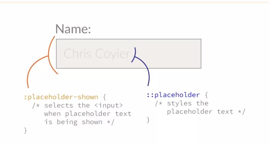 Input text placeholder. Плейсхолдер в инпуте. Плейсхолдер на сайте. Placeholder html. Input placeholder text.