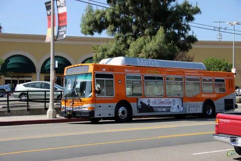 Bus los