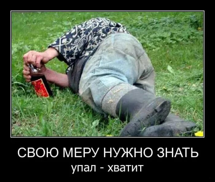 Картинка с надписью алкаш. Картинка с надписью алкаш. Демотиваторы про алкашей смешные. Картинка с надписью алкаш. Картинка с надписью алкаш.