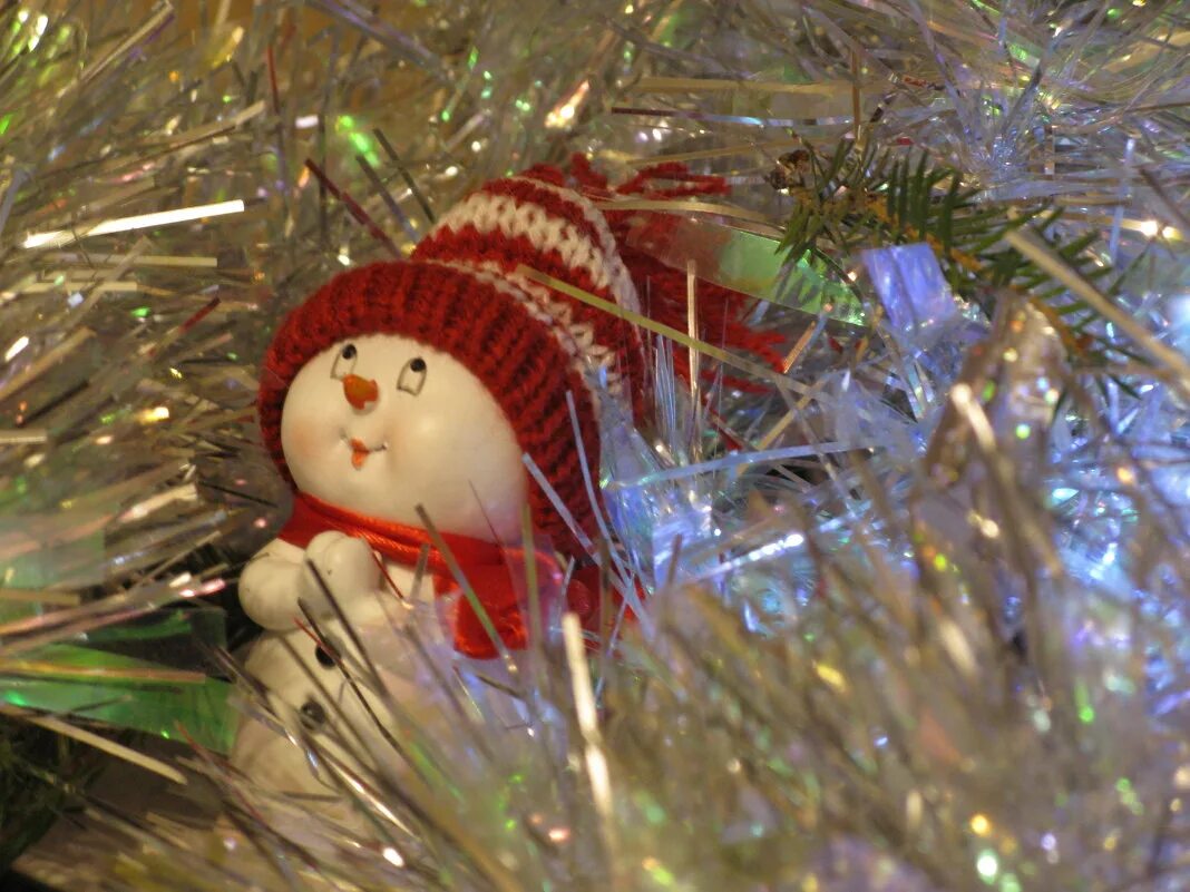 Вы верите в чудеса. Открытка верь в чудеса. Верьте люди в чудеса. Новогоднее чудо дети. Афиша в мире много сказок давайте верить в чудеса.