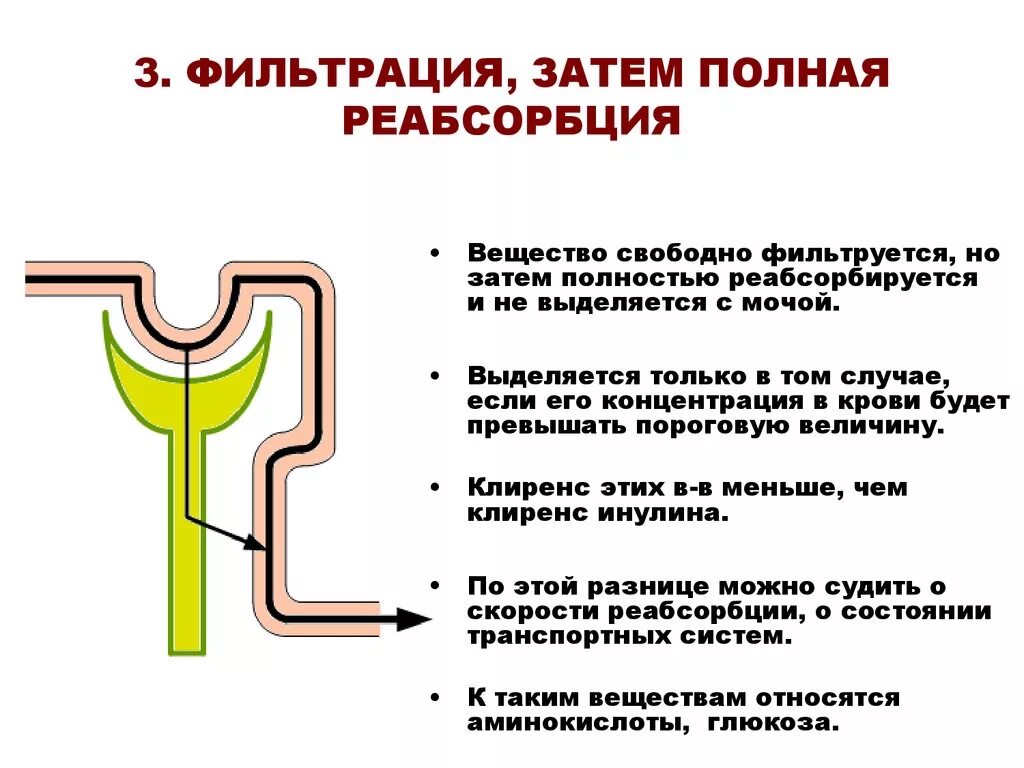 Обратное всасывание происходит в