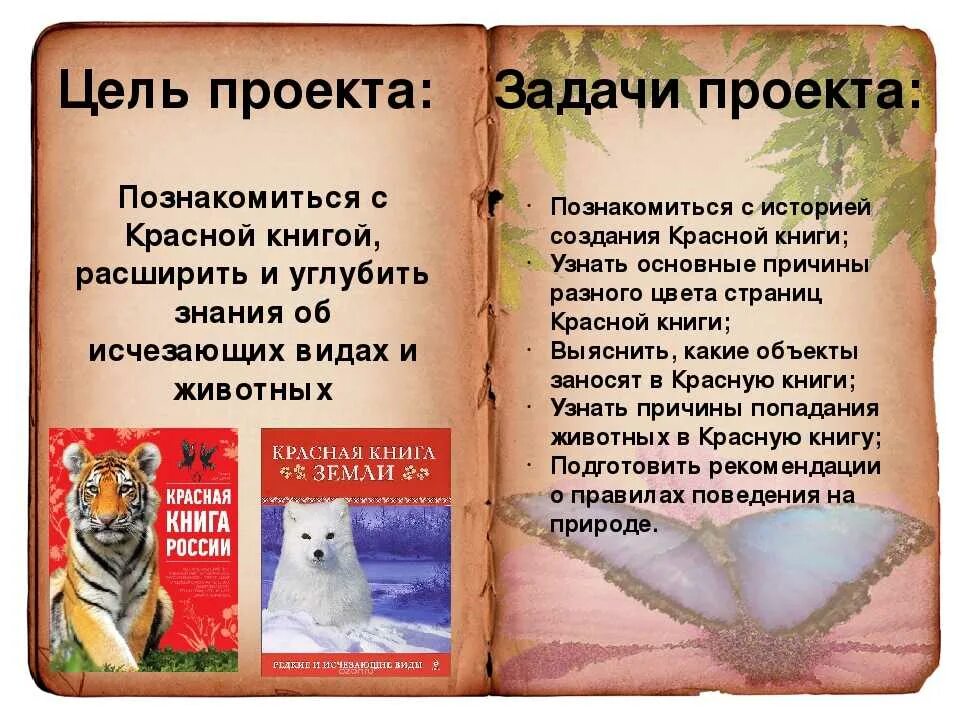 Цель про животных. Проект по окружающему миру красная книга России. Проект по окружающему миру 4 класс на тему красная книга России. Проект по окружающему красная книга 2 класс. Проект по окружающему миру 4 класс по теме красная книга России.