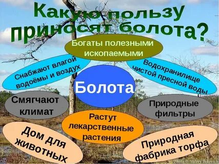 Какая польза от человека в жизни