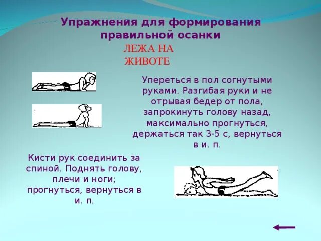 Задачи формирования правильной осанки. Задачи формирования правильной осанки