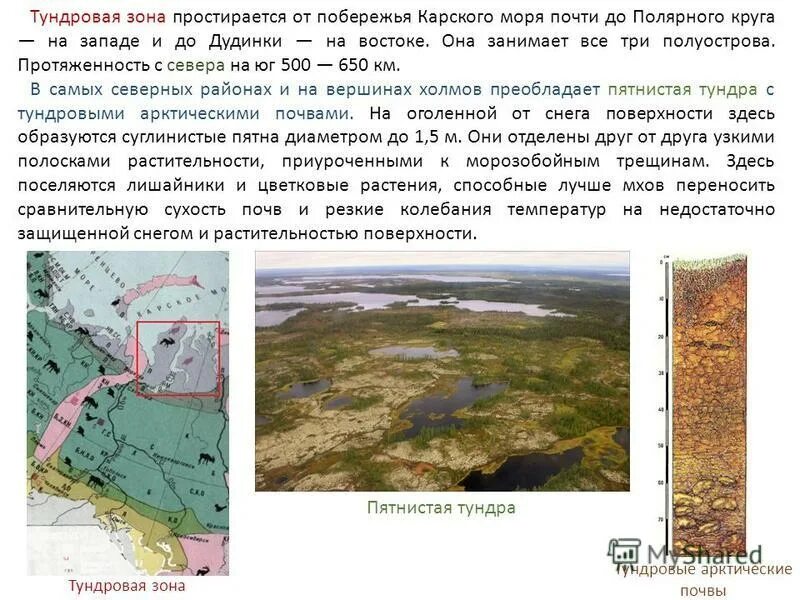белое море северного ледовитого океана. новая земля карское море. природный заповедник гыданский. карское море природная зона. карское море природная зона.