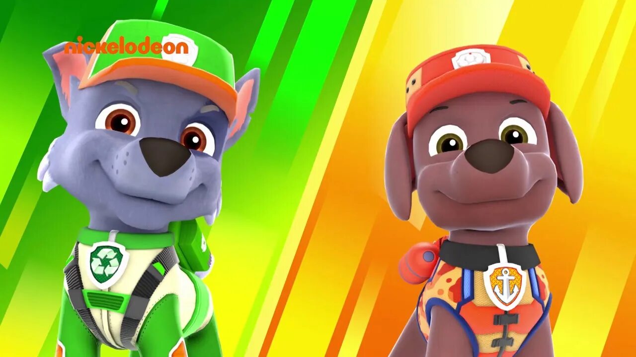 Щенячий nick. Щенячий патруль Рокки и Зума. Paw Patrol Зума. Zuma Щенячий патруль. Paw Patrol Рокки.