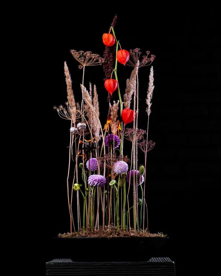 7 цветов техника. Вегетативный стиль во флористике. Необычные композиции. Флористические композиции. Параллельный стиль во флористике.