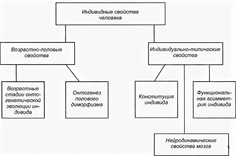 Назовите индивидуальные свойства человека