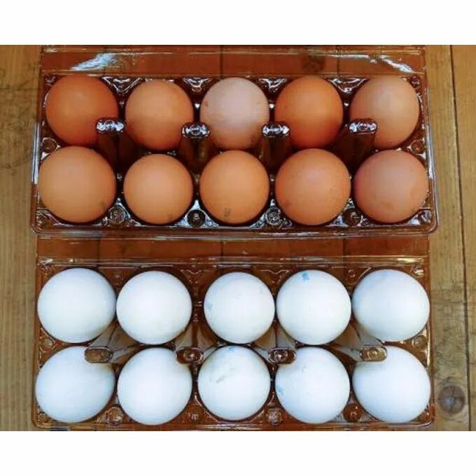 Куплю яйцо астрахань. Коричневые яйца окрашенные. Яйца с0. Окрашивание коричневых яиц. Яйцо с0 производитель.