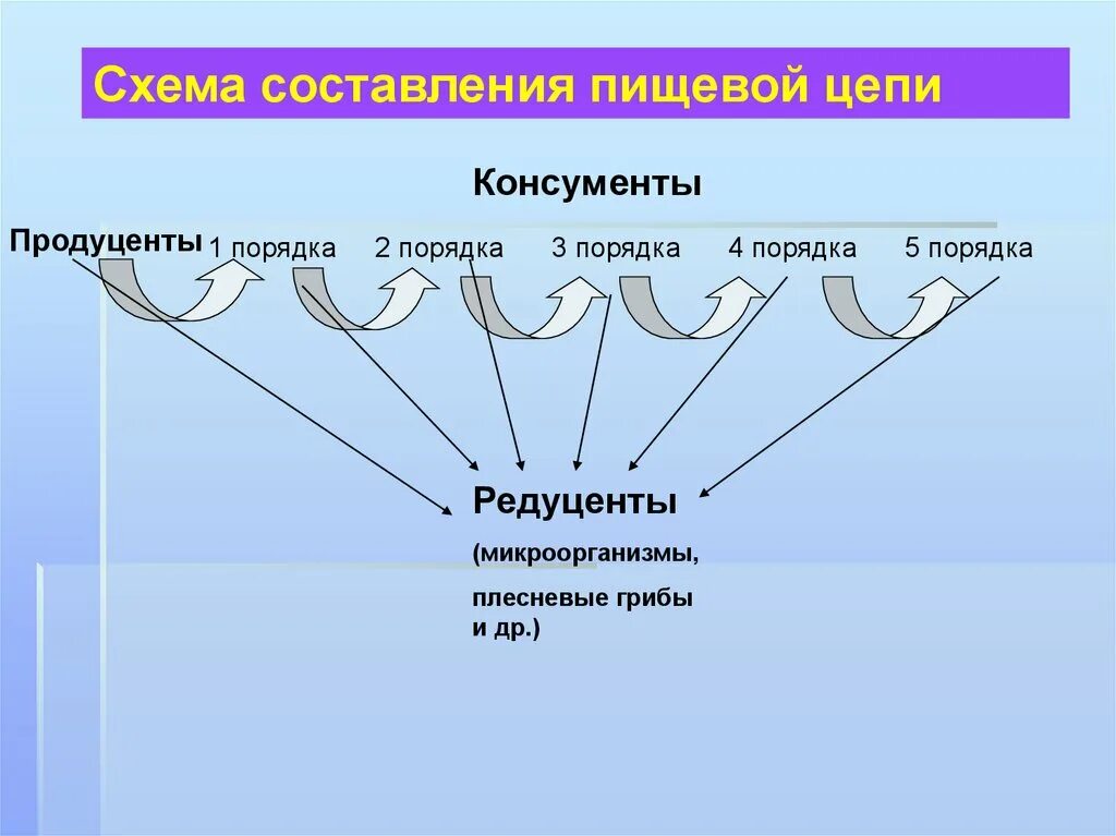 Поток энергии и цепи питания. Поток энергии и пищевые цепи презентация. Схема пищевой цепи. Цепь с потоком энергии. Поток энергии и пищевые цепи