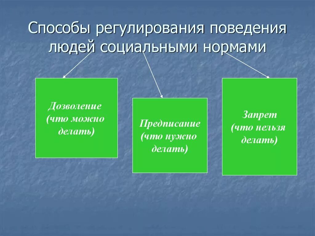 Нормы предписывающие запрещающие