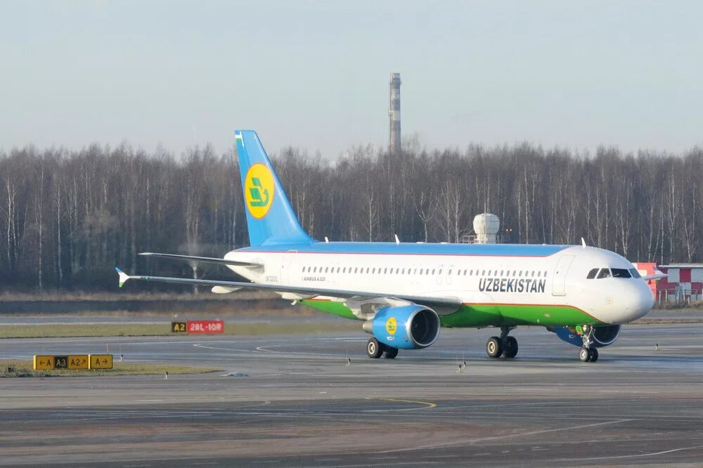 Аэропорт домодедово uzbekistan airways. Uzbekistan airways фото самолета в пулково. Самолет uzbekistan в аэропорту пулково. Узбекистанские авиалинии. Пилоты узбекистон хаво йуллари.