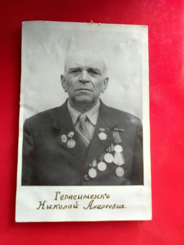 телеграм ветераны