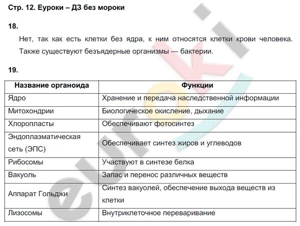 Биология 6 с пчелой. Параграф 5 6 класс сонин таблица по биологии. гдз по биологии 6 класс рабочая тетрадь сонина. биология 6 класс сонин параграф 6. биология 6 класс гдз сонин с пчелой.