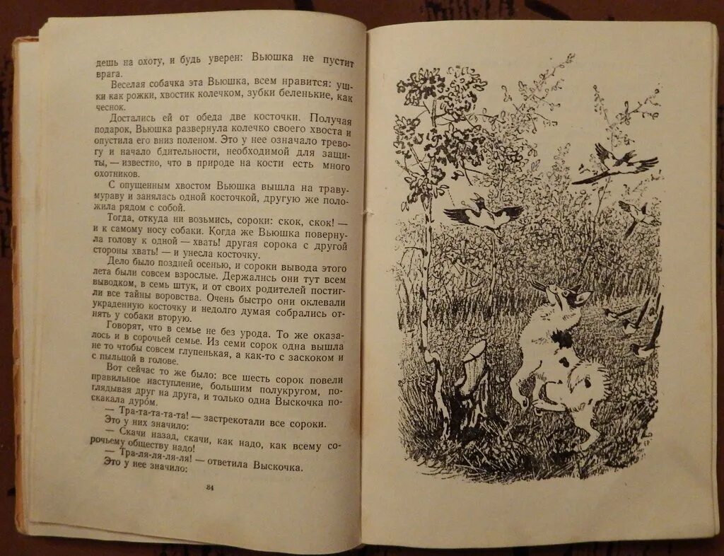 Выскочка пришвин собака. Выскочка рассказ. Всем нравилась собачка вьюшка. Иллюстрации к произведению пришвина вьюшка. Пересказ от лица выскочки.