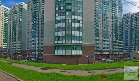 Красногорск мерлушкина