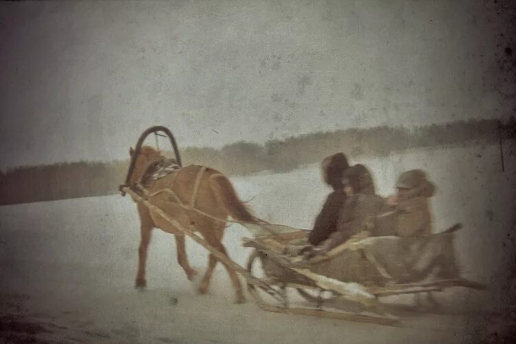 сверчков николай егорович тройка. ямщик. карл кольман. тройка ямщик живопись. френц рудольф федорович картины.