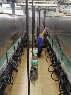Доильная установка параллель