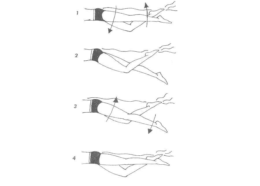 Техника плавания кролем на груди движения ног. Руки брасс ноги Кроль. Движение рук и ног в плавании кролем. Движение рук при плавании кролем. Движение конечностей 3