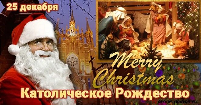 Мои любимые друзья! Все, кто празднует сегодня, С Рождеством! Будьте счастливы и