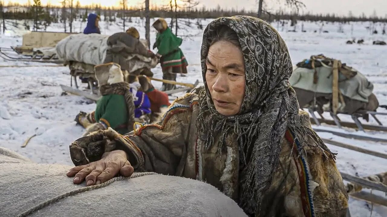 Ненцы селькупы. Энцы ненцы и нганасаны. Ненцы, энцы, нганасаны, селькупы. Селькупы ненцы. (Ненцы, Ханты, манси, селькупы.