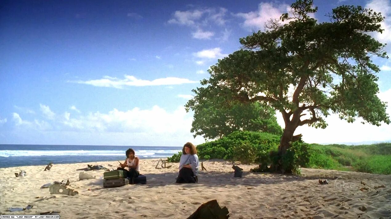 Остров Оаху лост. Пляж Мокулея остаться в живых. Остров Оаху Гавайи остаться в живых. Lost tree