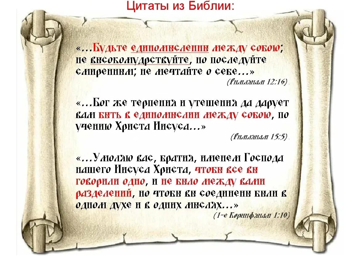 Толковая библия ветхого и нового завета а. Бибися. Книги священного писания список. Библия толкователи библии. Библия книга книг.