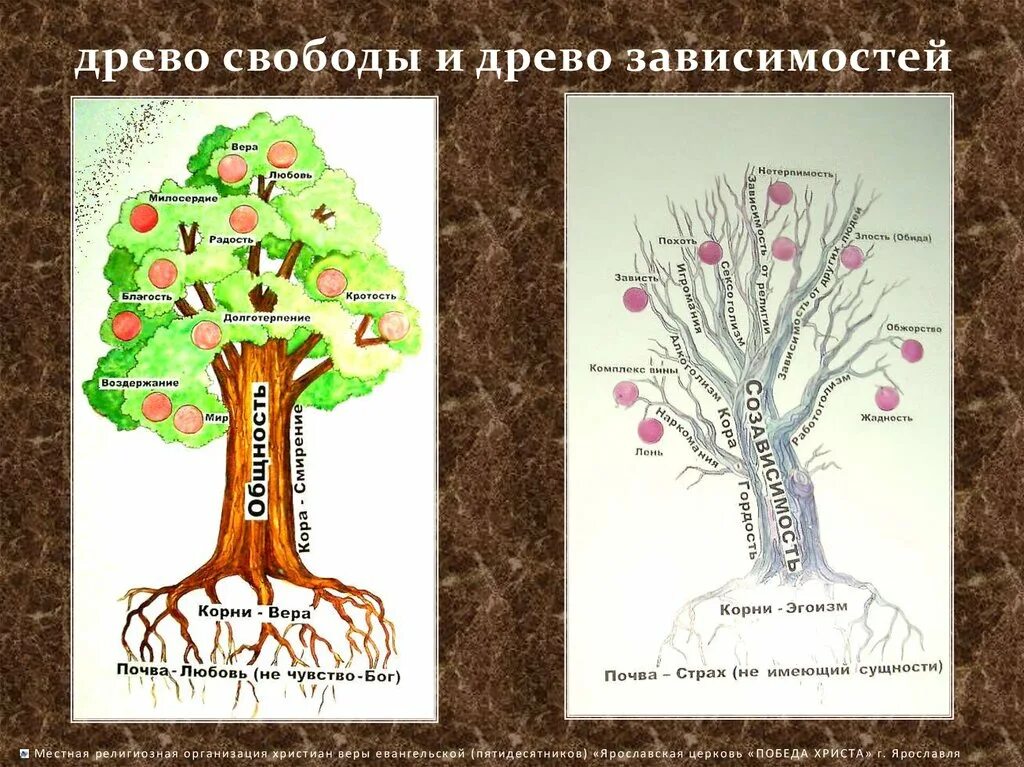 Дерево свободы. Древо свободы и Древо зависимости. Дерево зависимостей. Древо зависимостей свободы. Древо культуры