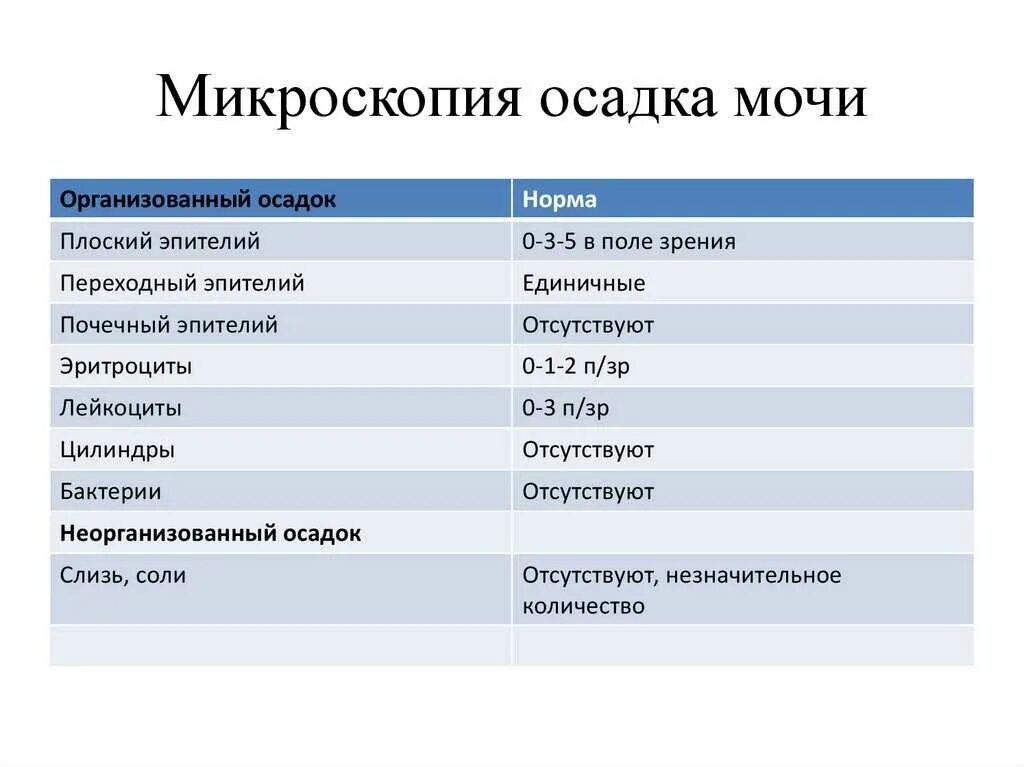 Мед анализ мочи. Лейкоциты микроскопия в моче норма. Микроскопия осадка в моче норма. Микроскопическое исследование осадка мочи нормы лейкоцитов. Анализ мочи микроскопия норма.