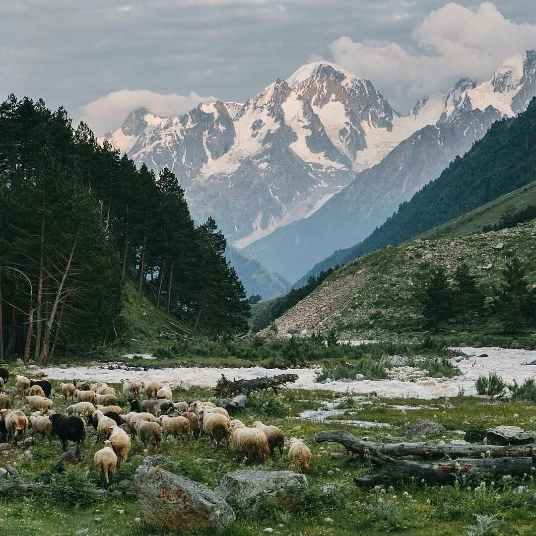 Природный пояс у подножия гор кавказа. Кавказ Кабардино Балкария. Горы Осетии и Кабардино Балкарии. Горы Кавказа Кабардино Балкария. Кабардино-Балкария Приэльбрусье.