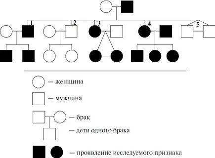 Родословная по цвету глаз