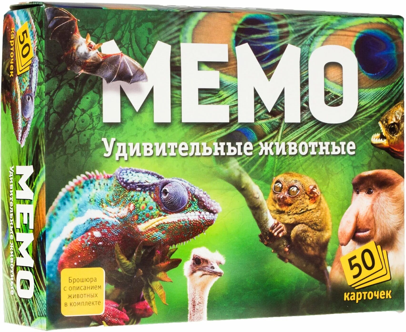 Мемо удивительные. Мемо удивительные животные нескучные игры. мемо удивительные животные 50 карточек. мемо 7207 &quot;удивительные животные&quot; (50 карточек). настольная игра нескучные игры мемо.