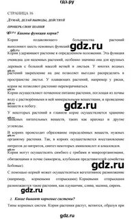 Решеба по биологии 6