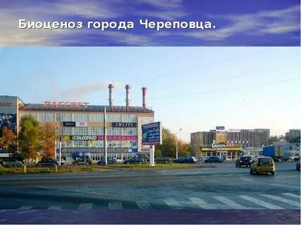 Череповец сити
