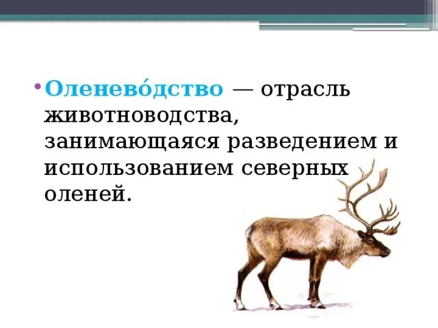 Какая отрасль животноводства развита на крайнем севере