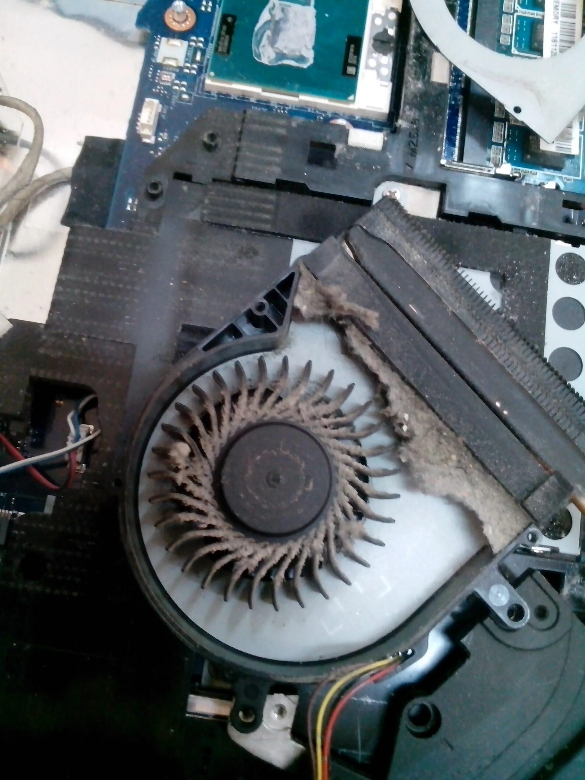 чистка системы. чистка ноутбука. чистка системы. чистка охлаждения ноутбука. чистка ноутбуков от пыли.