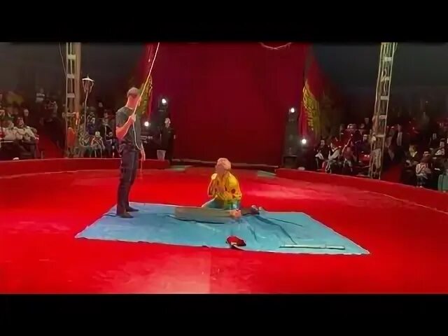 Медведь в цирке. Цирк шапито граф орлов в сыктывкаре. Цирк в орле. Цирк в орле 2024. Династия корниловых цирк.