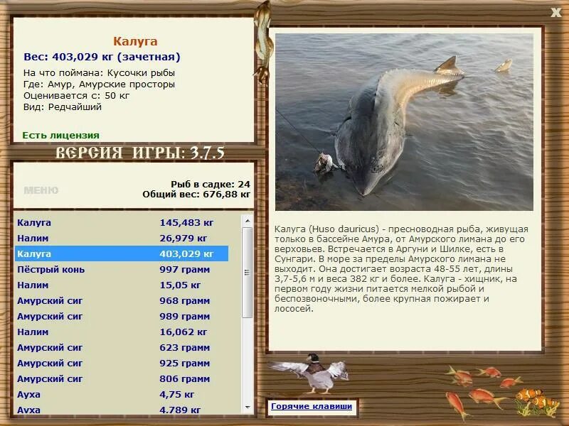 форум русской рыбалки инсталлсофт. форум русской рыбалки инсталлсофт. сом вунду. 5 зимняя сказка. форум русской рыбалки инсталлсофт.