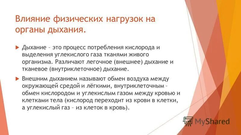 Изменение дыхания при физической нагрузке. Одышка при физ нагрузке причины. Почему при физической нагрузке учащается дыхание. Учащение чдд. Почему при физической нагрузке учащается дыхание.