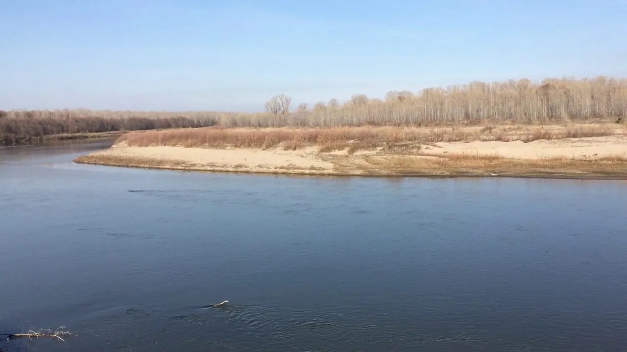 Уровень воды в чумыше сегодня тальменка. Река Чумыш Алтайский край. Речка Чумыш в Алтайском крае. Река Чумыш Тальменка. Река Чумыш село Ельцовка.