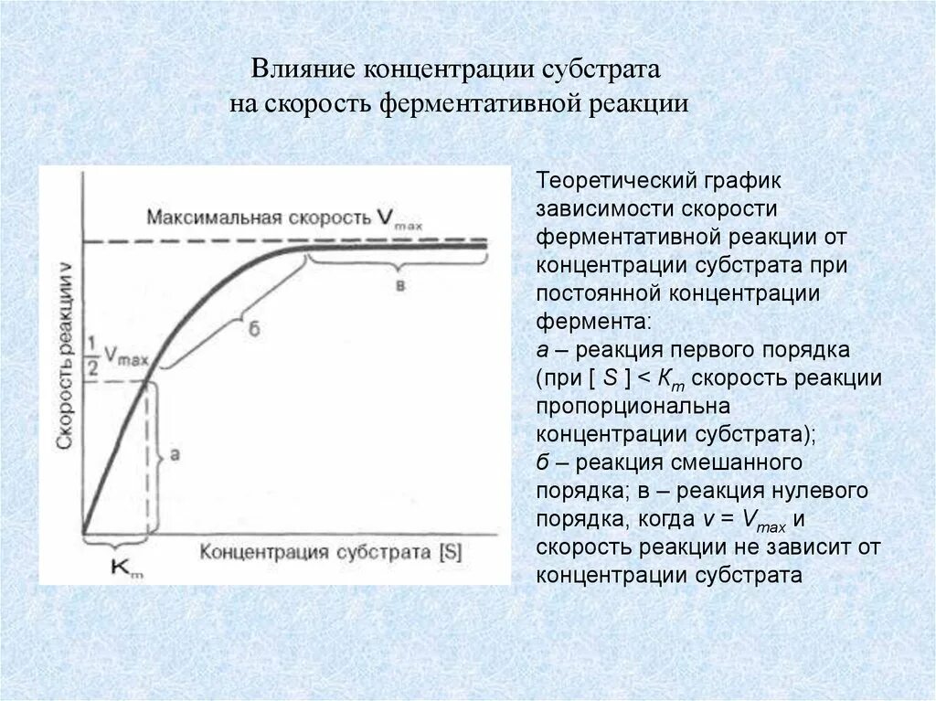 При увеличении концентрации субстрата скорость реакции. Влияние субстрата на скорость ферментативной реакции. график зависимости ферментативной реакции от концентрации субстрата. график зависимости скорости реакции от концентрации субстрата. график скорости ферментативной реакции от концентрации субстрата.