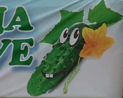 Что делают на дне огурца