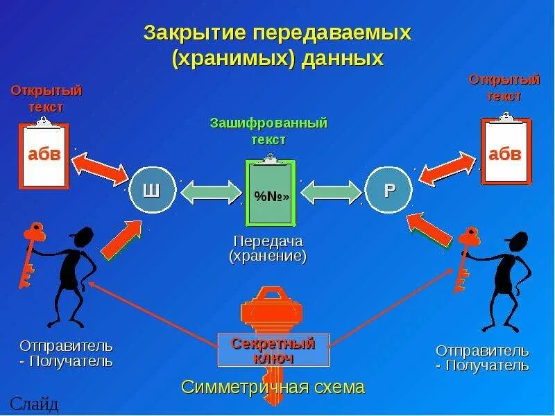 Хранят и передают информацию