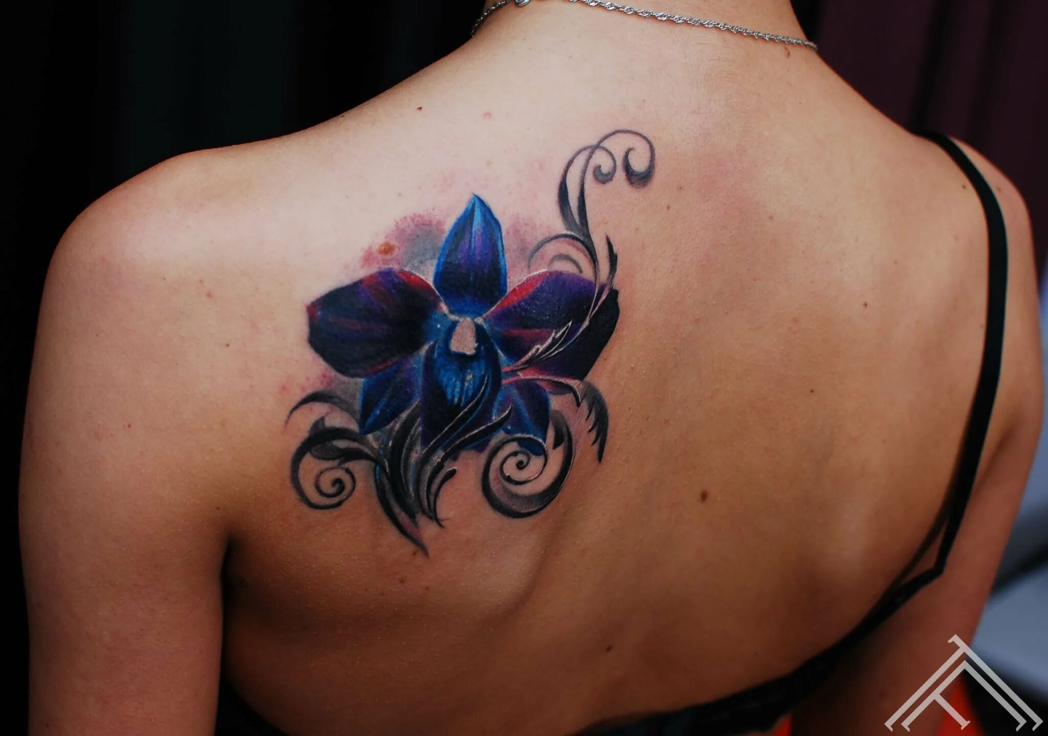 Орхидея тату черно-белое маленькая. Тату цветы орхидеи. Тата орхидея. Тату орхидея на спине. Тату орхидея.