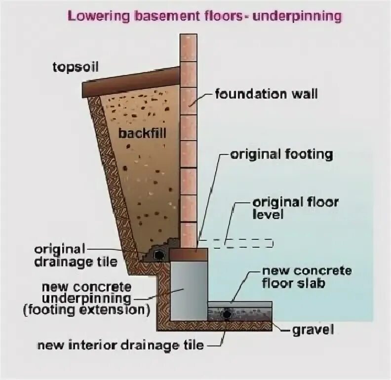 Basement перевод. Basement перевод на русский. Basement перевод на русский. Фк бейсмент лого. Basement перевод на русский.